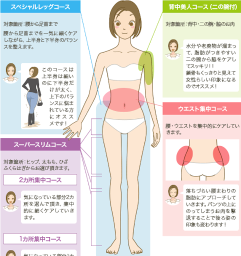 脚痩せ専門リフィートの料金は 3カ月で太もも 7cm痩せる料金も解説