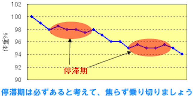 ダイエット停滞期の乗り越え方 3000名を痩せさせた痩身エステオーナーが解説