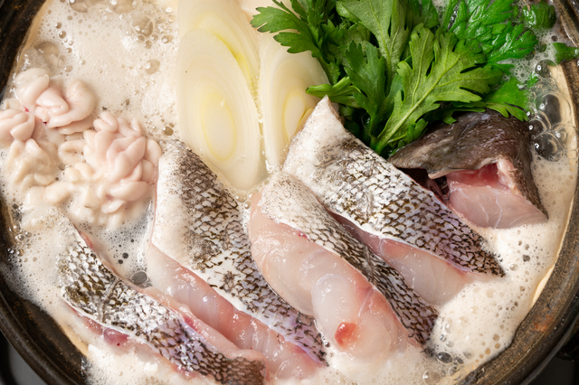 魚ダイエットは最強！魚中心食の人が痩せてる理由・効果・料理レシピを 