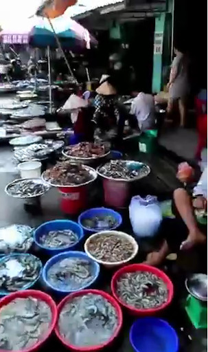 魚ダイエットは最強！魚中心食の人が痩せてる理由・効果・料理レシピを 