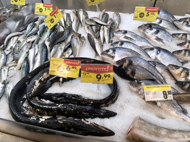 魚ダイエットは最強！魚中心食の人が痩せてる理由・効果・料理レシピを 